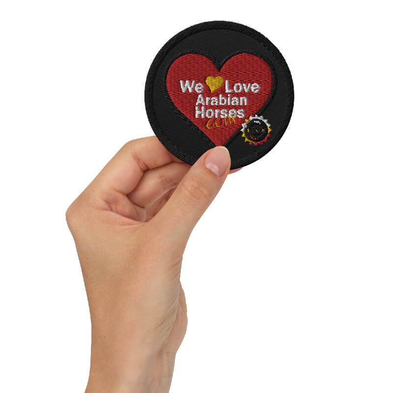 WLAH Logo Patch Round