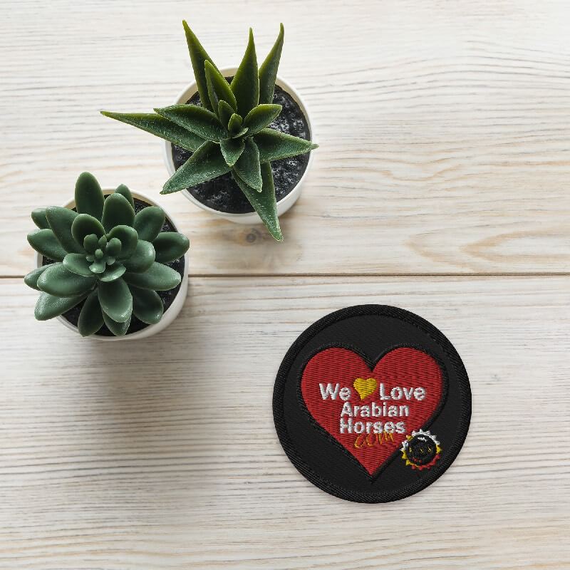 WLAH Logo Patch Round