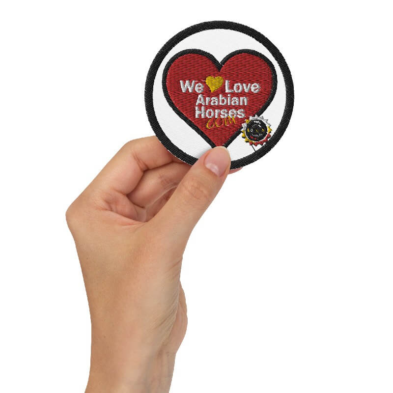 WLAH Logo Patch Round