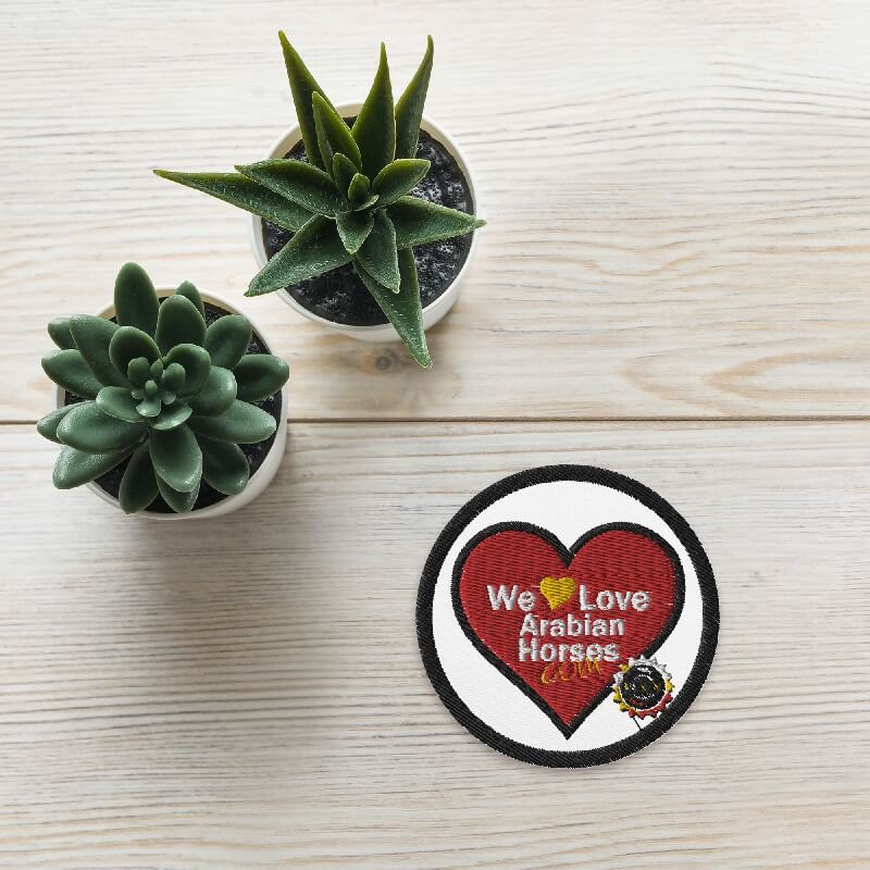 WLAH Logo Patch Round