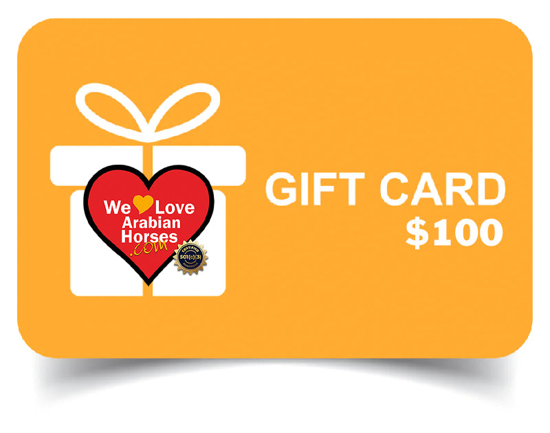 GIFT CARD SHOPIFY $100