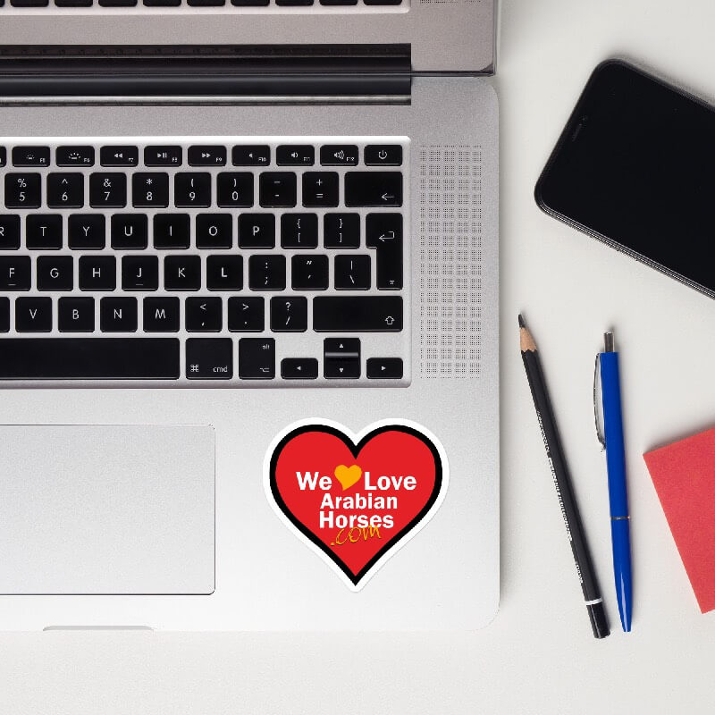 WLAH Bubble-free Stickers