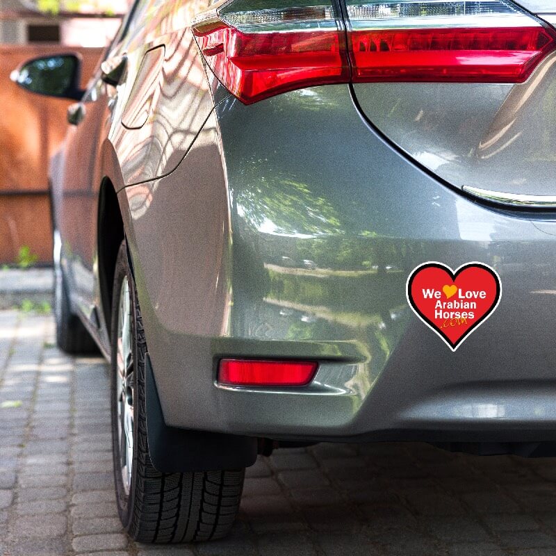 WLAH Bubble-free Stickers