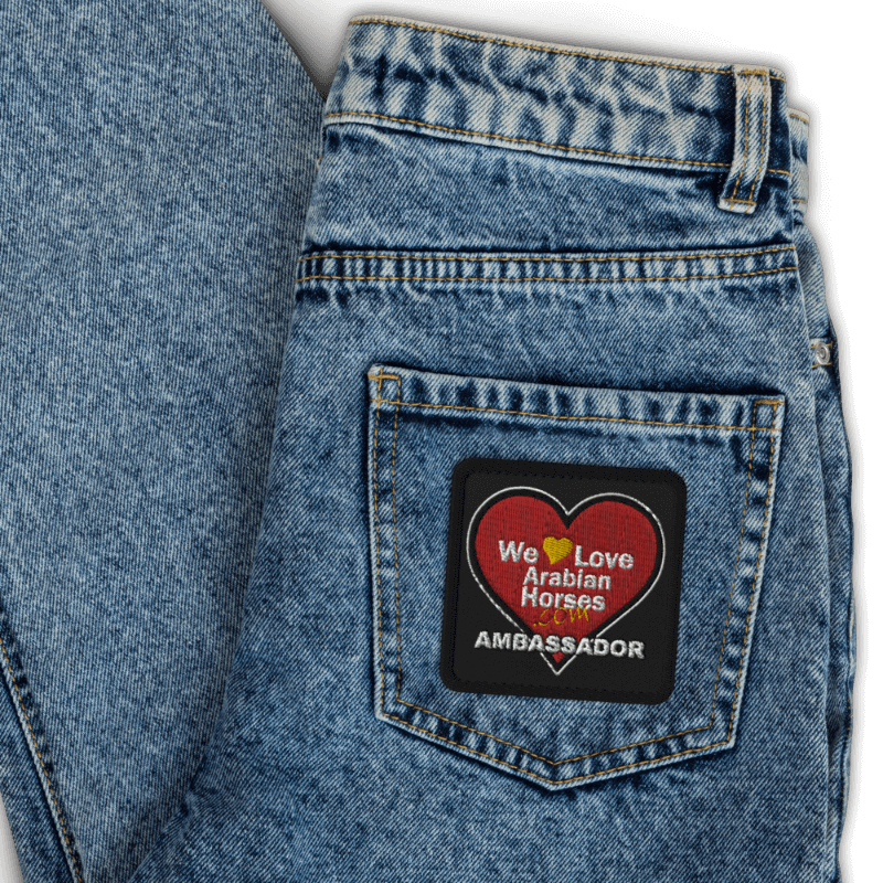 WLAH Logo Patch Square