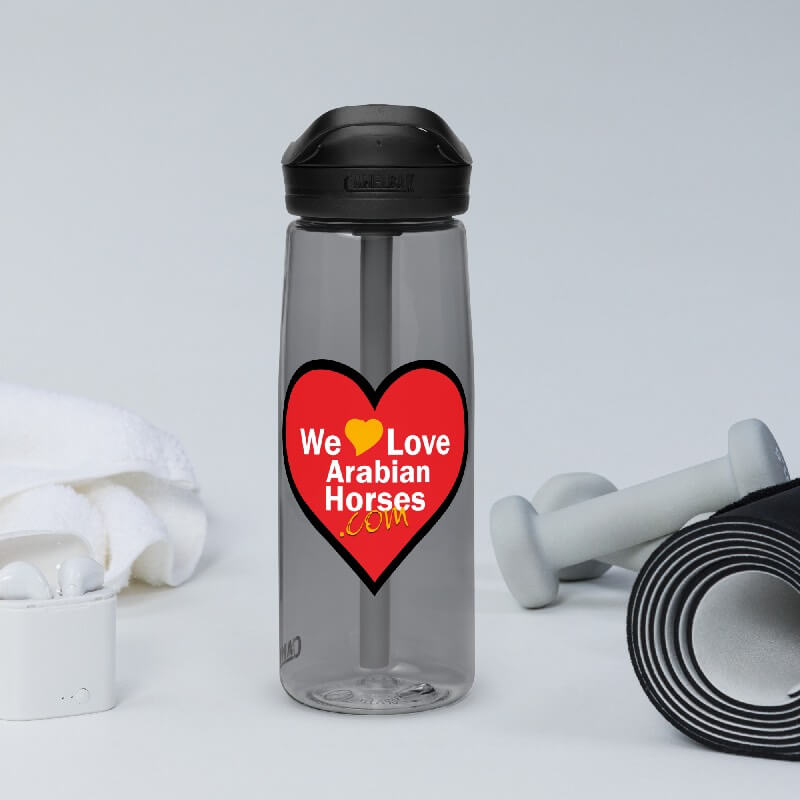 WLAH Sports Water Bottle