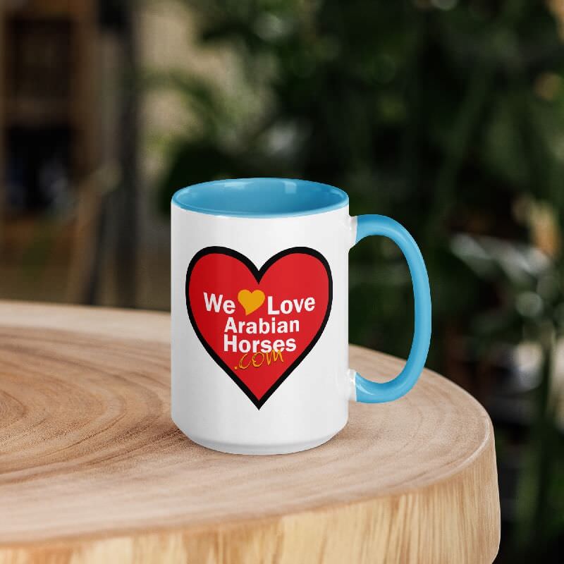 WLAH Coffee Mug w/Color