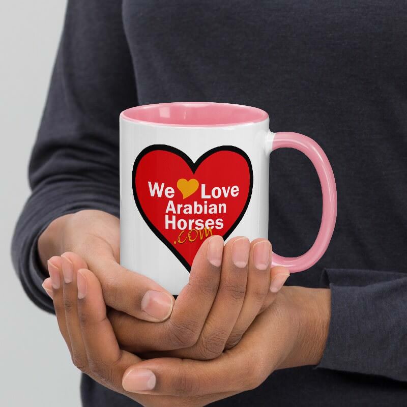 WLAH Coffee Mug w/Color