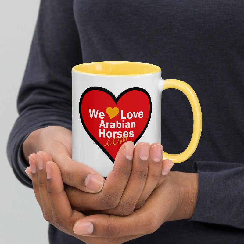 WLAH Coffee Mug w/Color