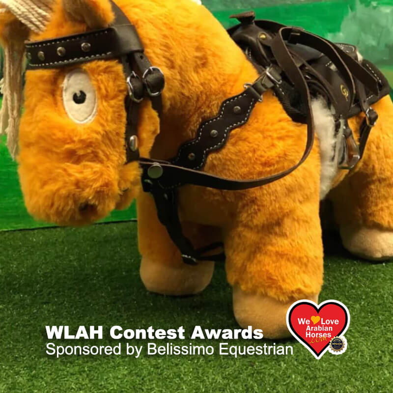 WLAH Custom Pony with Accessories