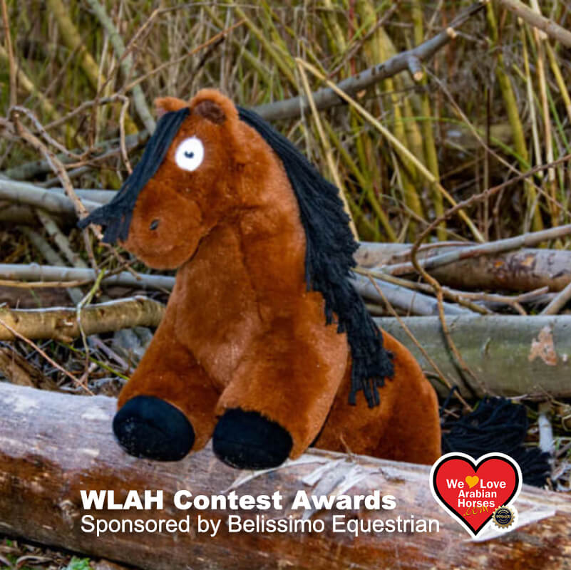 WLAH Custom Pony with Accessories