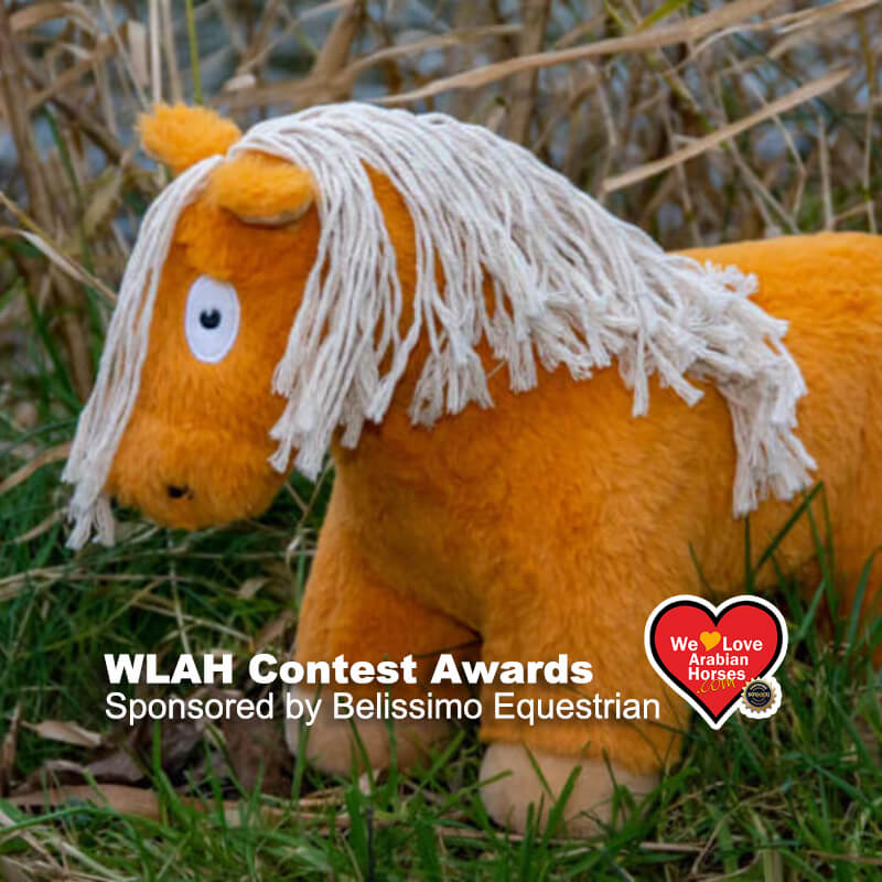 WLAH Custom Pony with Accessories