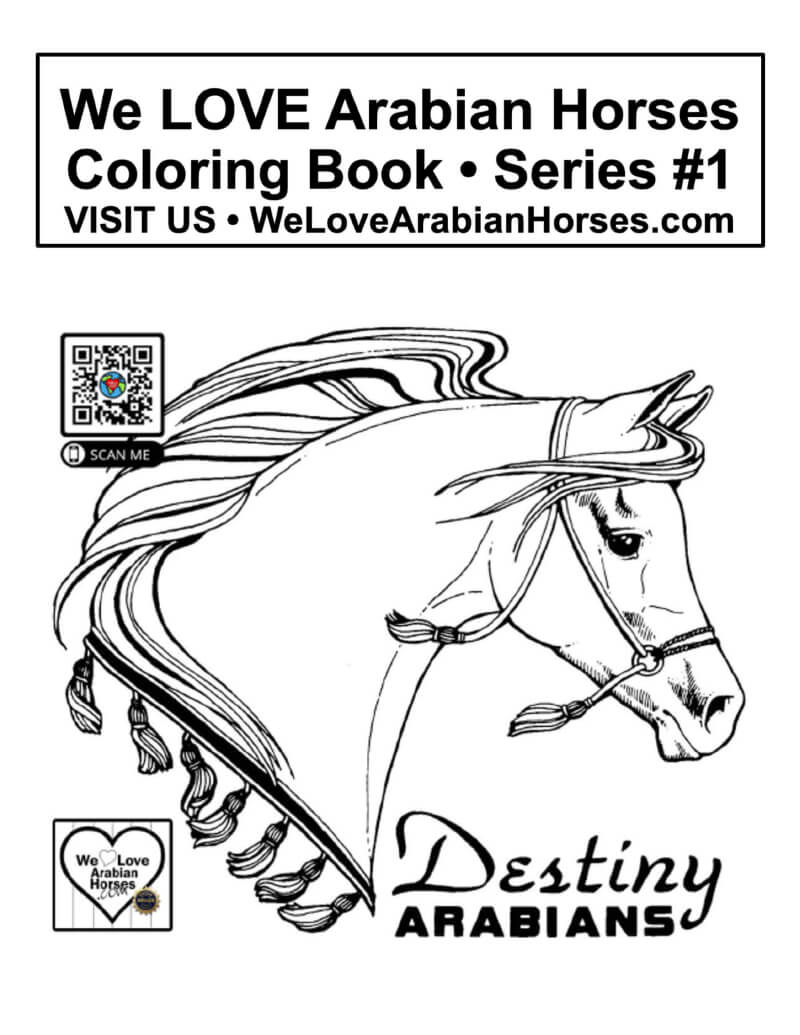 WLAH Coloring Books