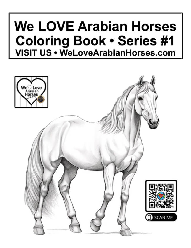 WLAH Coloring Books