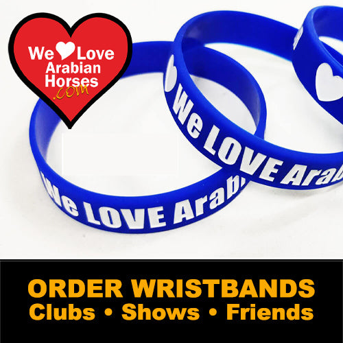 WLAH Wristbands